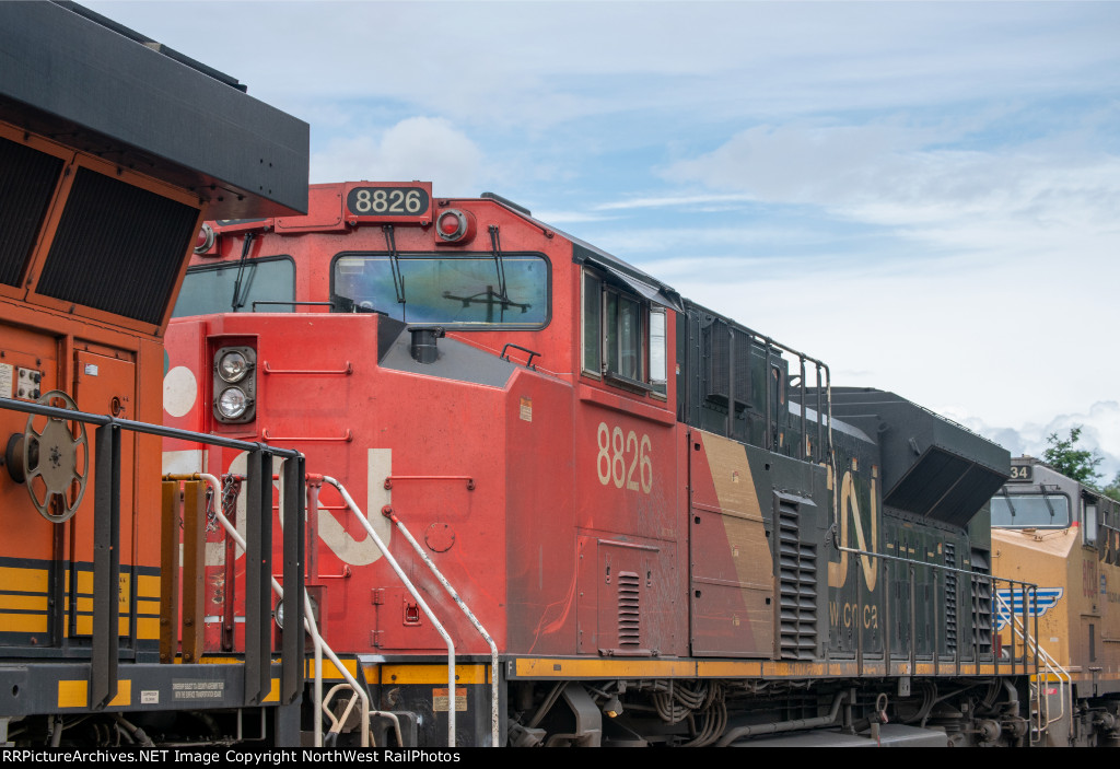 CN 8826